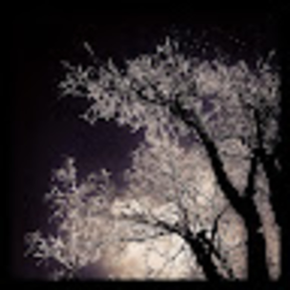 Meet your Posher, Rachel - Picture 1 of 1